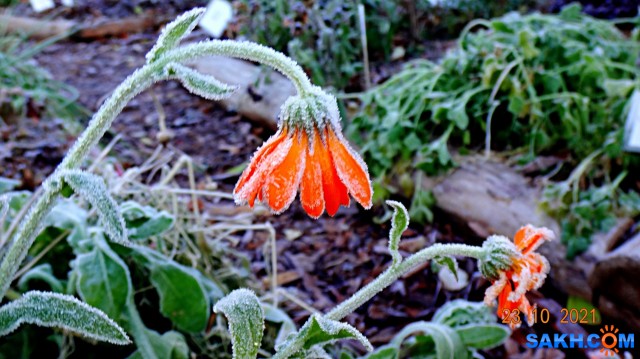 DSC06944

Просмотров: 420
Комментариев: 0