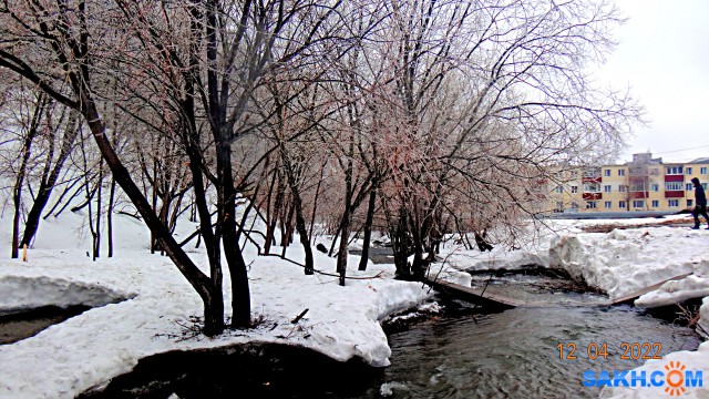 DSC08639