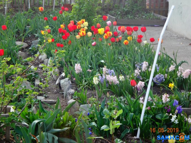 DSC06573

Просмотров: 646
Комментариев: 0