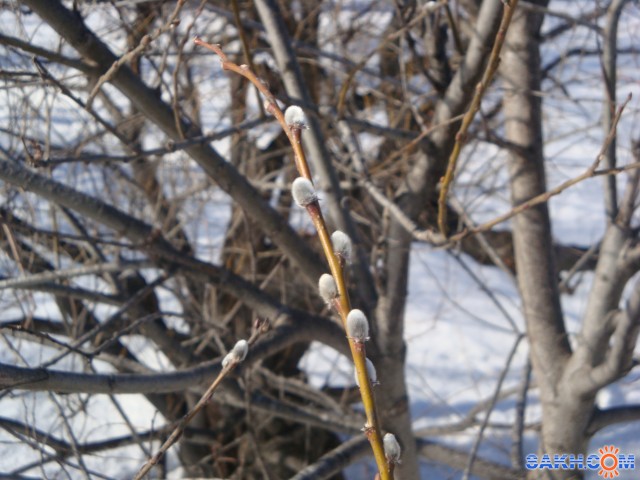 DSC06186

Просмотров: 4570
Комментариев: 0