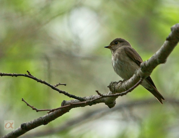 ***
Фотограф: Сергей Букацкий

Просмотров: 1387
Комментариев: 0