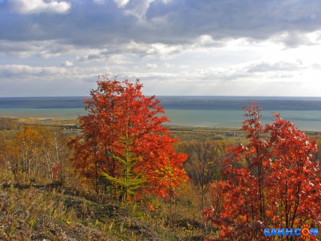 IMG_0047 (2)-к-м

Просмотров: 737
Комментариев: 0