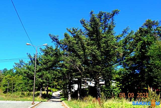DSC02749
В парк.

Просмотров: 428
Комментариев: 0