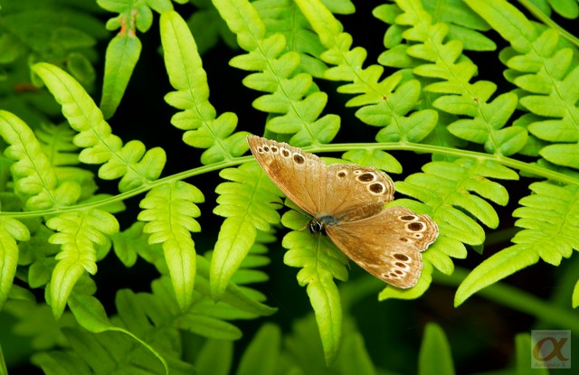 ***
Фотограф: Сергей Буркацкий

Просмотров: 793
Комментариев: 0