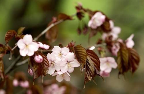 DSC04860
Фотограф: Сергей Буркацкий

Просмотров: 355
Комментариев: 0