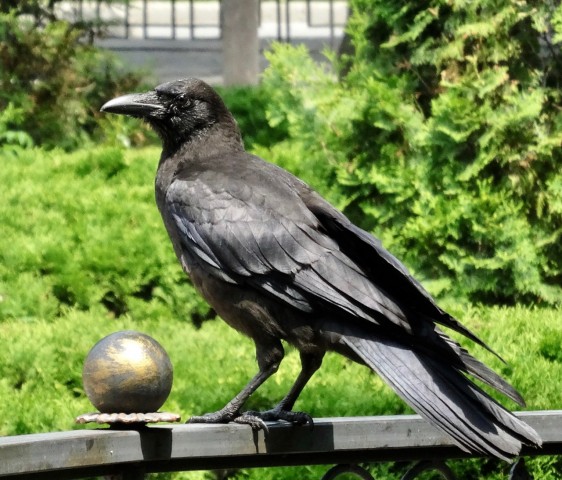 DSC04027
Фотограф: Сергей Буркацкий

Просмотров: 401
Комментариев: 0