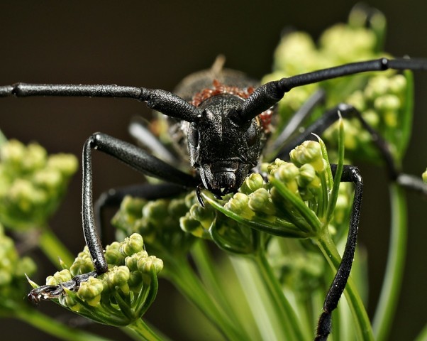 DSC01844
Фотограф: Сергей Буркацкий

Просмотров: 375
Комментариев: 0