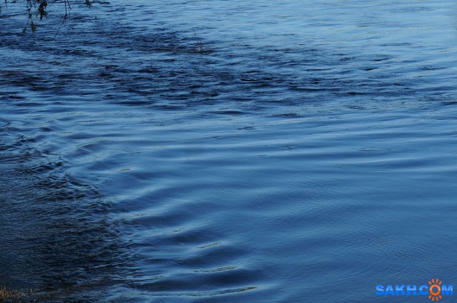 DSC07233
Фотограф: vikirin

Просмотров: 1226
Комментариев: 0