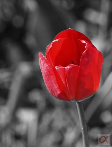 Арт-фильтр1___

Просмотров: 1198
Комментариев: 0