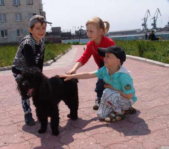 солёный пёс 
Фотограф: Наталья Капустюк

Просмотров: 1215
Комментариев: 0