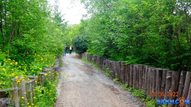 DSC09864