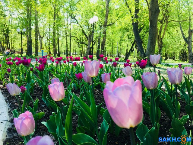 В парке...

Просмотров: 817
Комментариев: 0