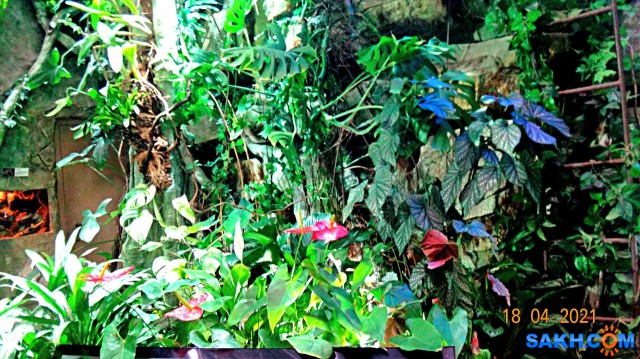DSC00930