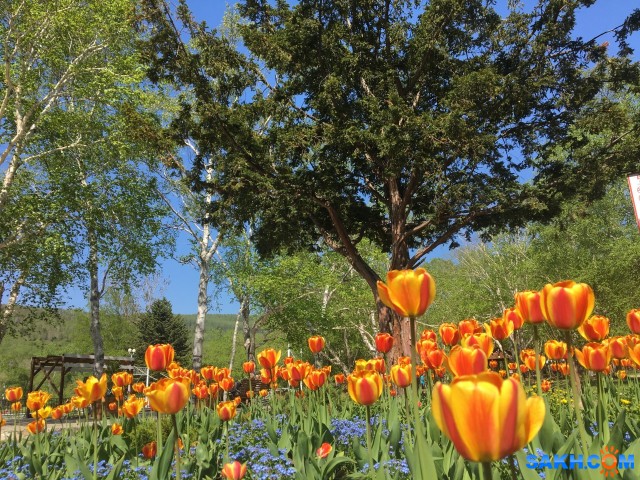 В парке...

Просмотров: 865
Комментариев: 0