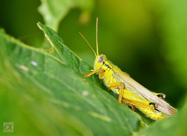 ***
Фотограф: Сергей Буркацкий

Просмотров: 1108
Комментариев: 0