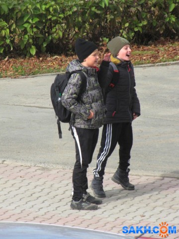 013-31

Просмотров: 922
Комментариев: 0