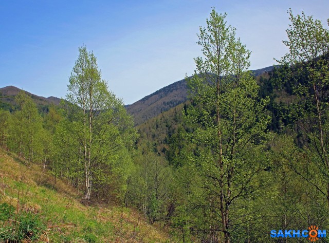 054-к

Просмотров: 335
Комментариев: 0