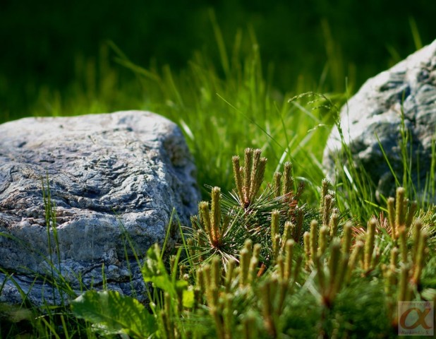 ***
Фотограф: Сергей Буркацкий

Просмотров: 885
Комментариев: 0