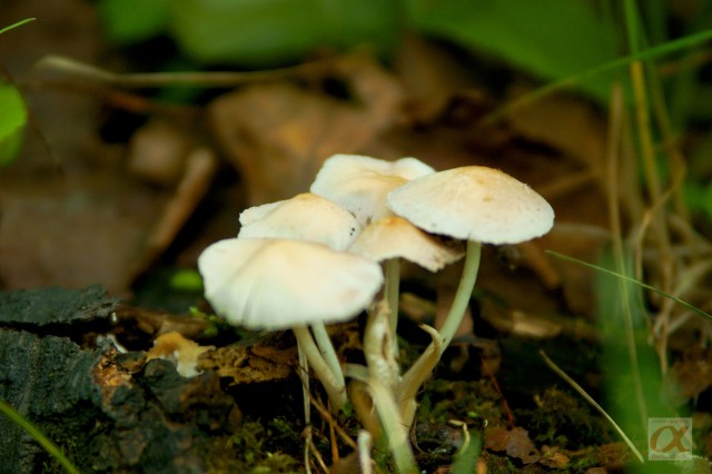 ***
Фотограф: Сергей Буркацкий

Просмотров: 796
Комментариев: 0