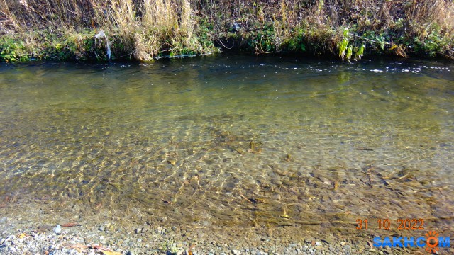 DSC05301