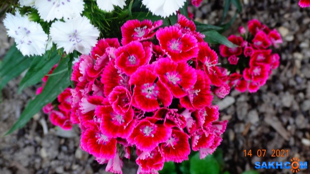 DSC03898

Просмотров: 479
Комментариев: 0