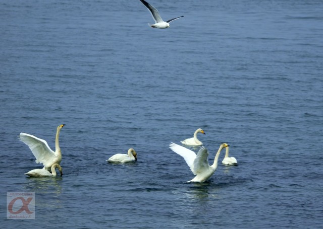 ***
Фотограф: Сергей Буркацкий

Просмотров: 1712
Комментариев: 0