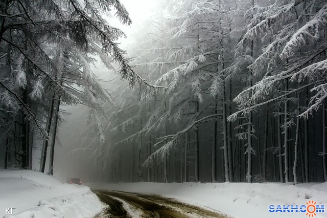Зимний туман
Фотограф: КристальноГрязный

Просмотров: 1687
Комментариев: 0