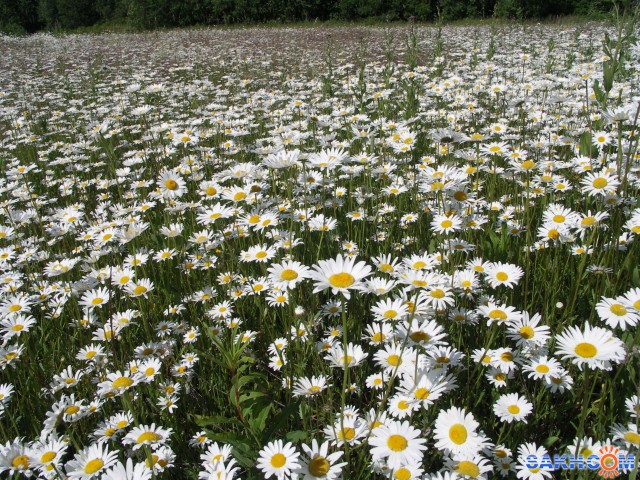 PICT0252_small

Просмотров: 3189
Комментариев: 0