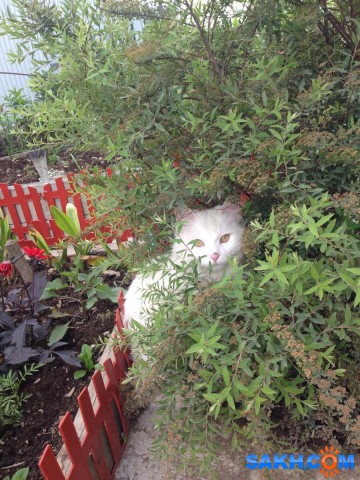 ооо

Просмотров: 1622
Комментариев: 0