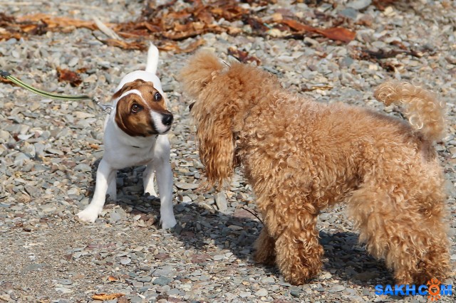 Разрешите познакомиться

Просмотров: 816
Комментариев: 0