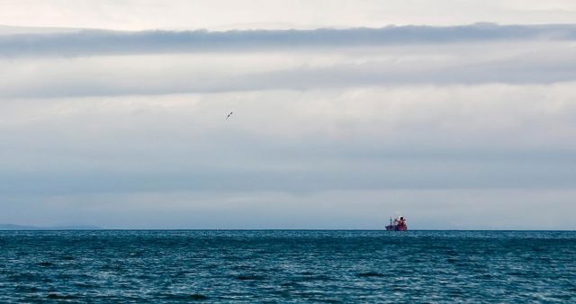 Море, Корабль, Чайка
Фотограф: Дмитрий Кабаков

Просмотров: 1172
Комментариев: 0