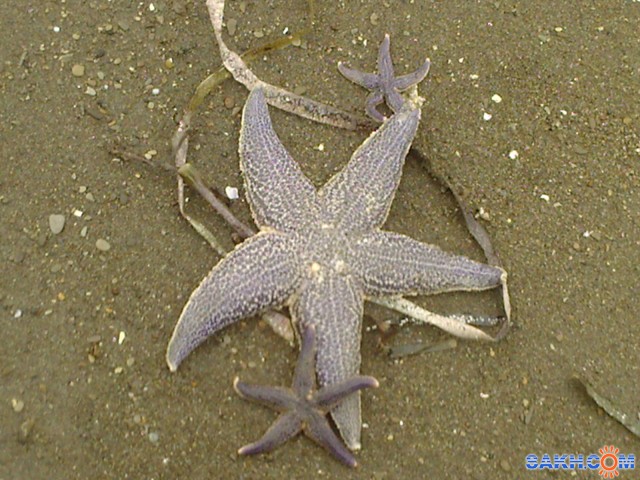 Фото-0053

Просмотров: 4115
Комментариев: 0