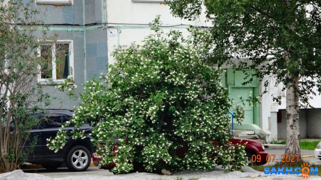DSC03816

Просмотров: 499
Комментариев: 0
