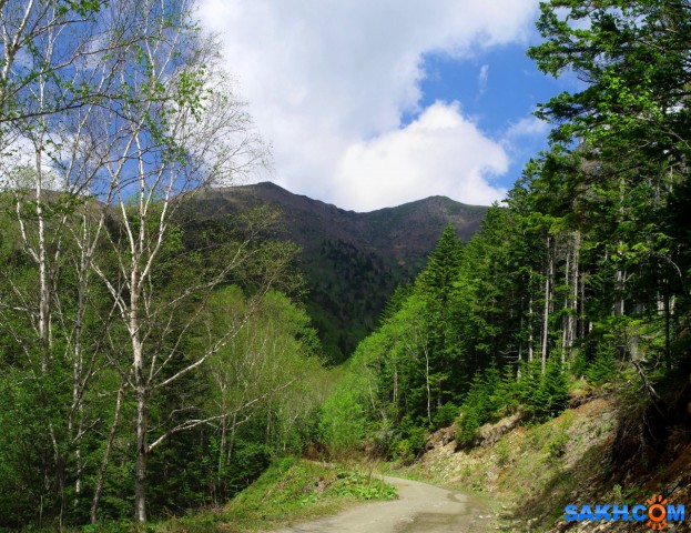 232-пан-к

Просмотров: 745
Комментариев: 0