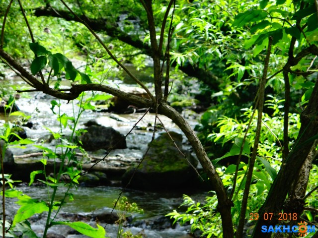 DSC06355