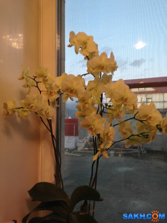 изображение_2020-12-07_162105

Просмотров: 1179
Комментариев: 0