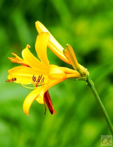 ***
Фотограф: Сергей Буркацкий

Просмотров: 765
Комментариев: 2