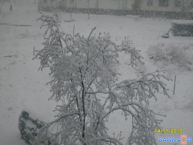 Принакрылась снегом...
Фотограф: Maricha

Просмотров: 7226
Комментариев: 2