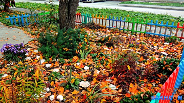 DSC04765

Просмотров: 517
Комментариев: 0