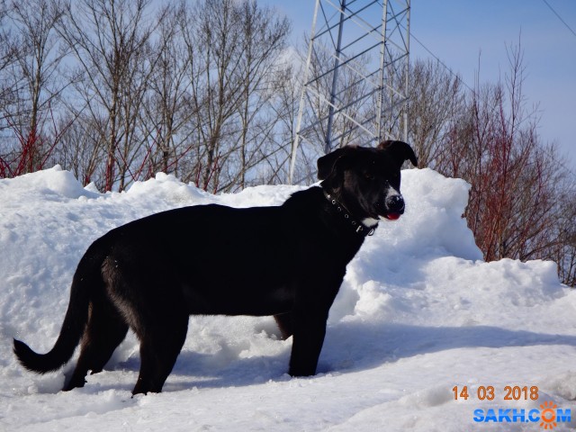 DSC00033