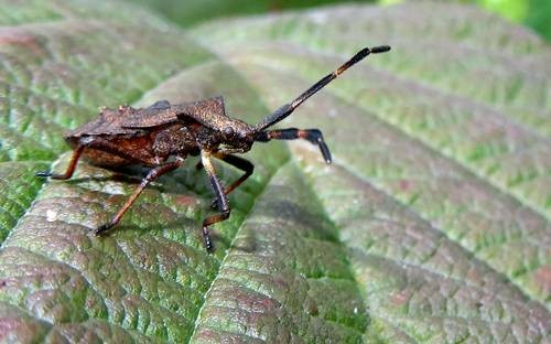 DSC03594
Фотограф: Сергей Буркацкий

Просмотров: 474
Комментариев: 0