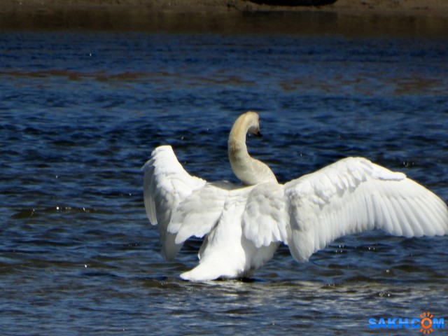 DSC00122_н

Просмотров: 626
Комментариев: 2