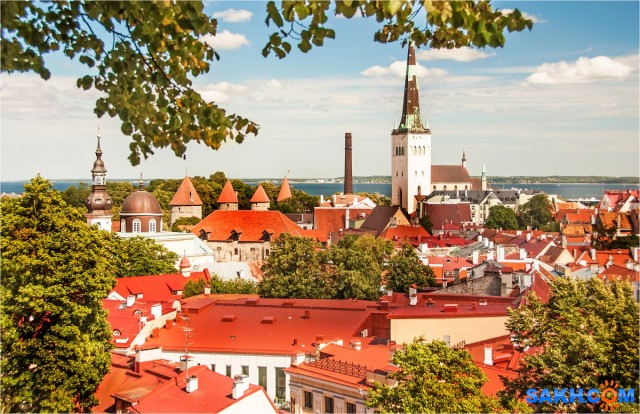 Вид на Таллин со смотровой площадки старого города