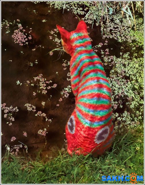 26
Фотограф: synthetic

Просмотров: 202
Комментариев: 0