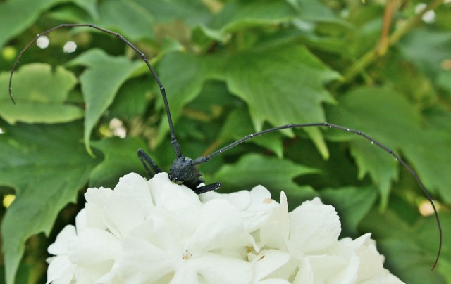 DSC01616
Фотограф: Сергей Буркацкий

Просмотров: 655
Комментариев: 0