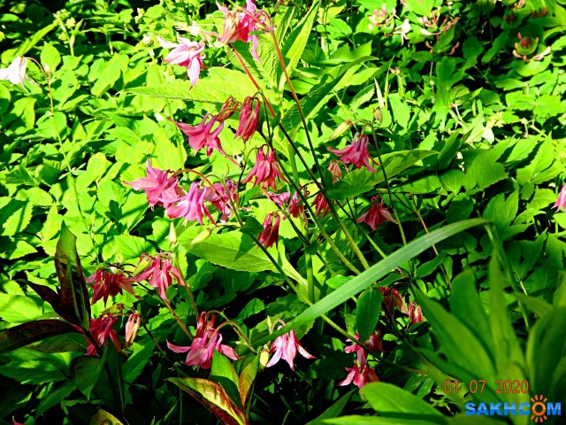 DSC02166

Просмотров: 788
Комментариев: 0
