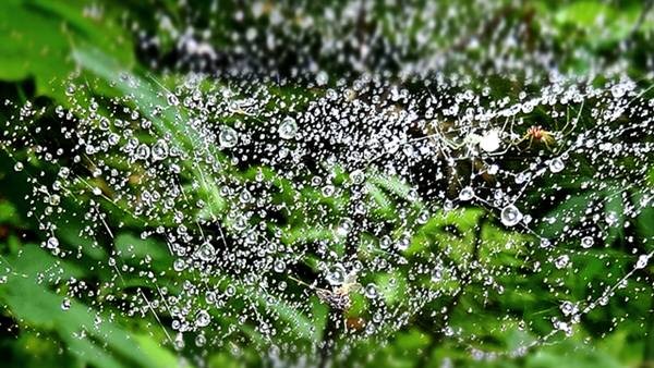 DSC00279
Фотограф: Сергей Буркацкий

Просмотров: 133
Комментариев: 0