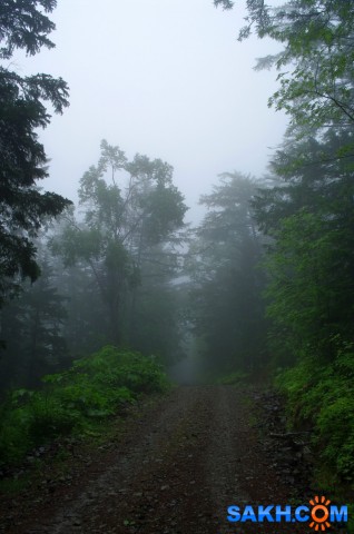 047-к

Просмотров: 552
Комментариев: 0