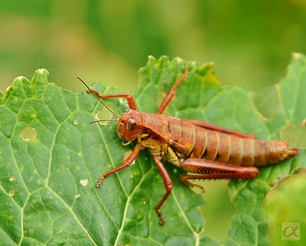 ***
Фотограф: Сергей Буркацкий

Просмотров: 856
Комментариев: 0