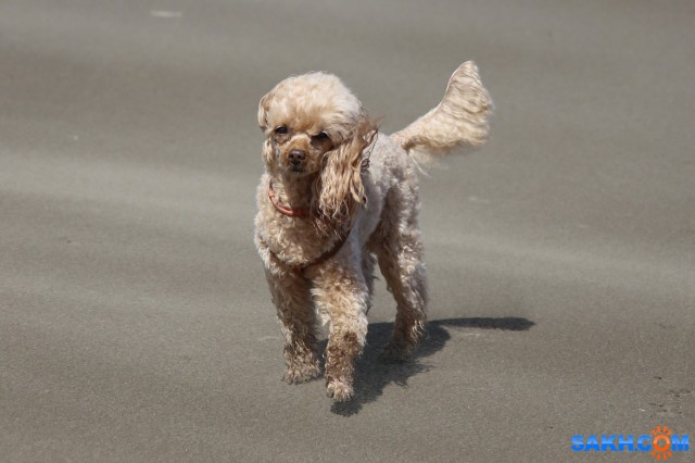 У моря

Просмотров: 319
Комментариев: 0